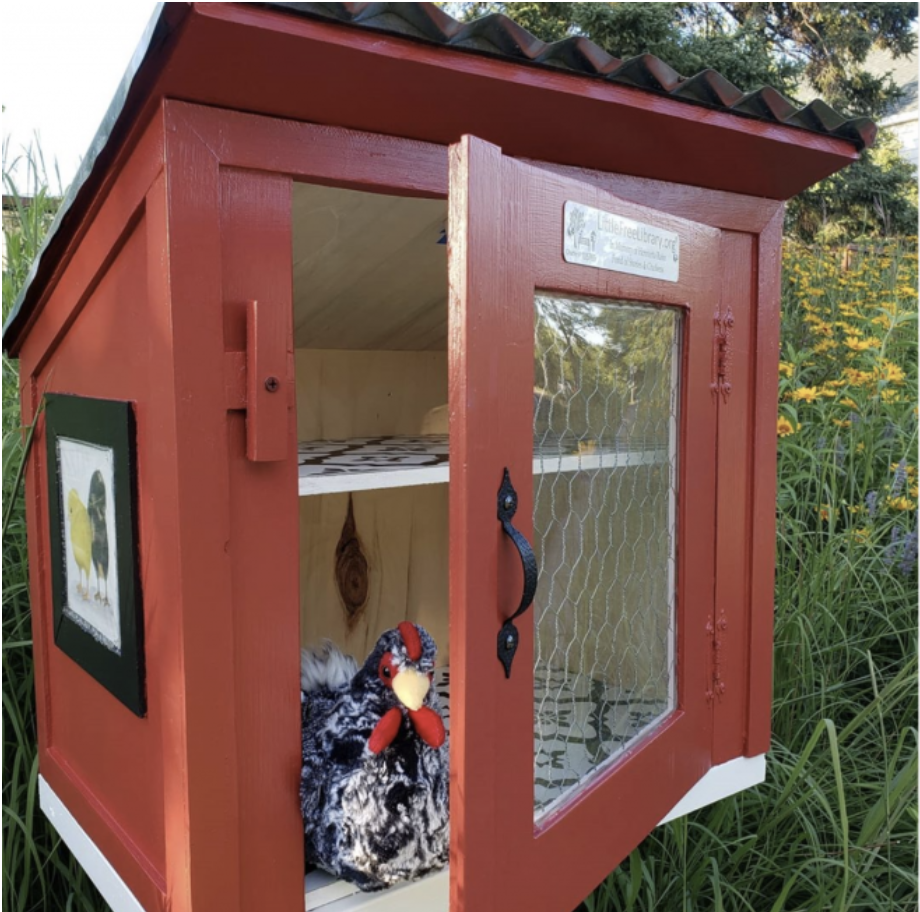 Plus chicken in diverse and inclusive Little Free Library in Duluth, Minnesota